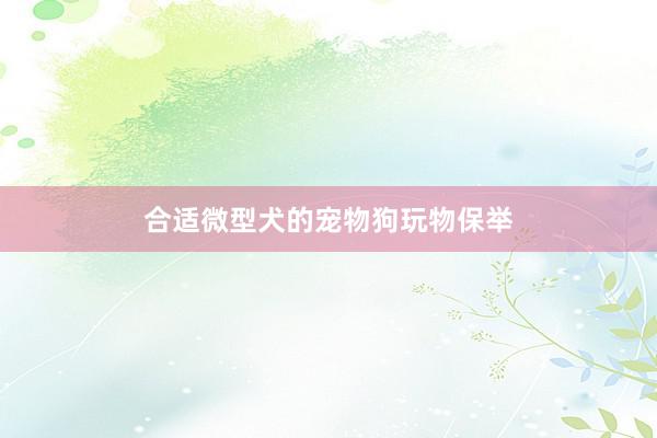 合适微型犬的宠物狗玩物保举